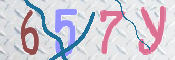 CAPTCHA (Şahıs Denetim Kodu) Resmi