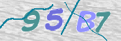 CAPTCHA (Şahıs Denetim Kodu) Resmi