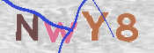 CAPTCHA (Şahıs Denetim Kodu) Resmi