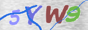 CAPTCHA (Şahıs Denetim Kodu) Resmi