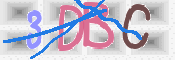 CAPTCHA (Şahıs Denetim Kodu) Resmi
