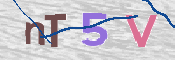 CAPTCHA (Şahıs Denetim Kodu) Resmi