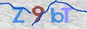 CAPTCHA (Şahıs Denetim Kodu) Resmi
